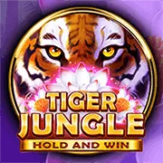Bàn Poker Texas Hold'em và các bộ bài tại Bet88keo Đăng Nhập