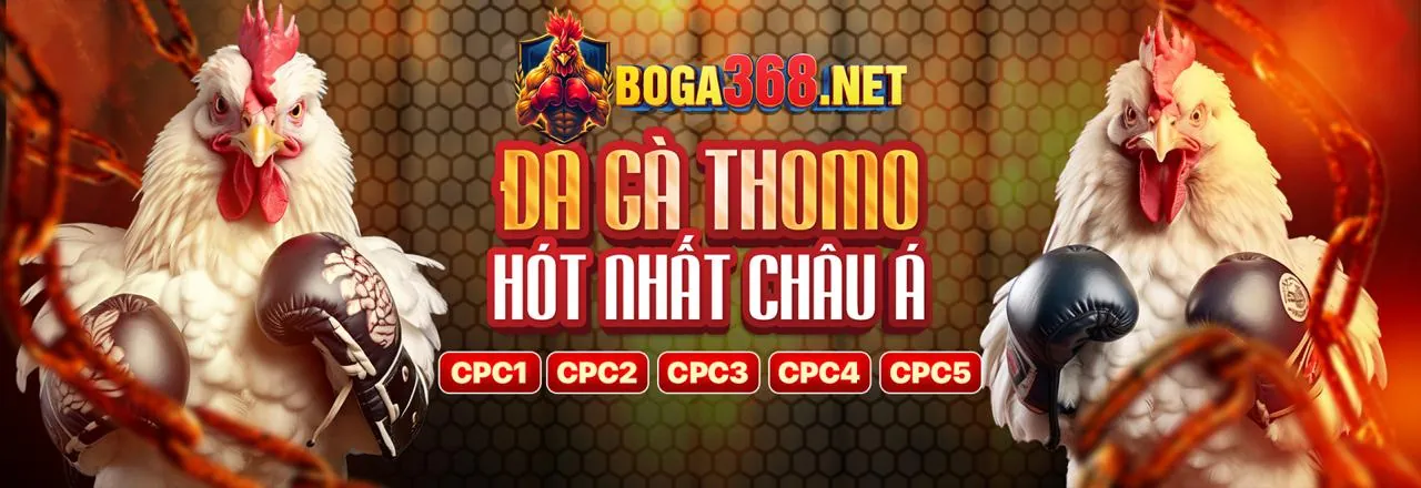 Khuyến mãi độc quyền Bet88keo Đăng Nhập 2026